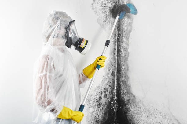 Best Mold Remediation for Healthcare Facilities  in St Francisville, LA