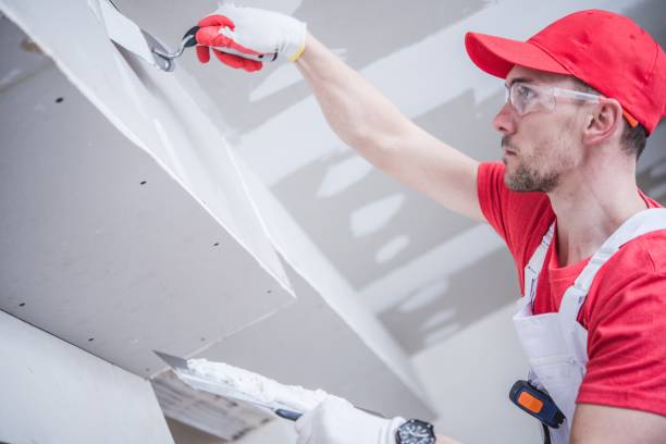 St Francisville, LA Mold Removal Company